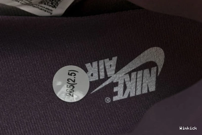 1 High “Mauve” Jordan OG DZ5485-105 1022